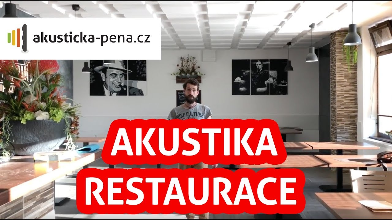 Přehrát video