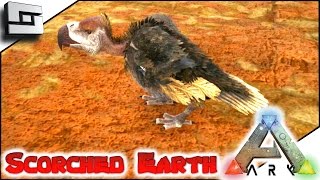 ARK: Scorched Earth - VULTURE TAMING/BREEDING! E34 ( Ark Survival Evolved Gameplay )