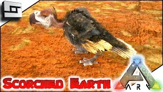 ARK: Scorched Earth - VULTURE TAMING/BREEDING! E34 ( Ark Survival Evolved Gameplay )