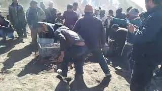 preview picture of video 'Snow leopard being rescued by residents of spiti'