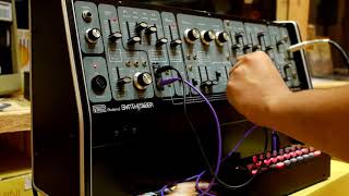 Video thumbnail for Roland System 100 / Model 102 Expander Test by Instrumental Music