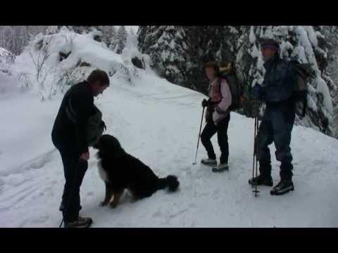 Escursione al Monte Lussari - SentieriNatura - Documentari invernali 2010 - 04