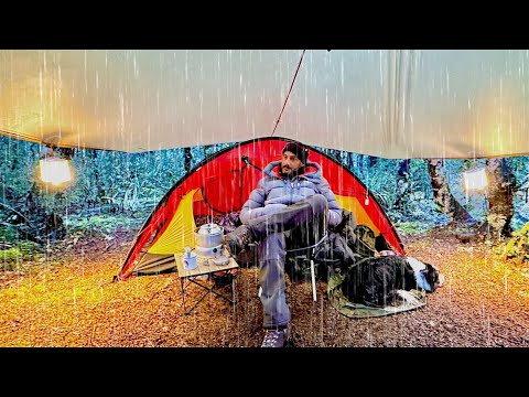 , title : 'Camping in Rain - Tent and Tarp - ASMR - Dog'