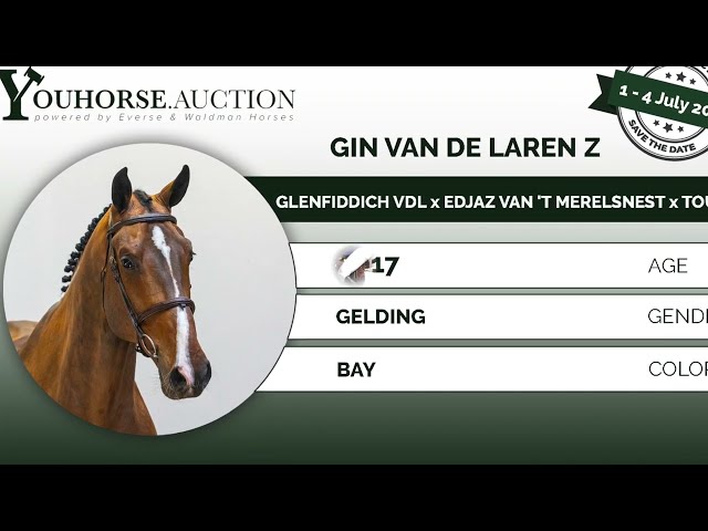 Gin van de Laren