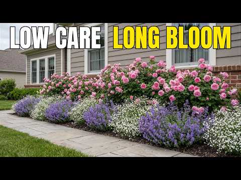 What to Plant With Roses: 3 Low-Maintenance Flower Bed Ideas