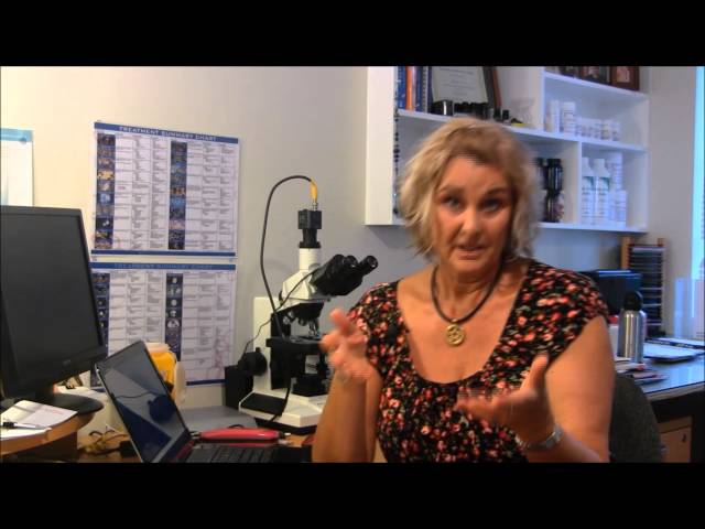 Peak Health - Port Macquarie, NSW