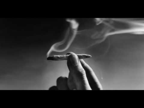 MISH_4.45 x TUTAJTEN - GREEN GROSS