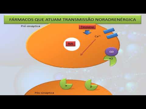 Aulas de Farmacologia  Aula 06 - Transmissão adrenérgica