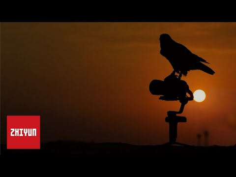 ZHIYUN WEEBILL S video