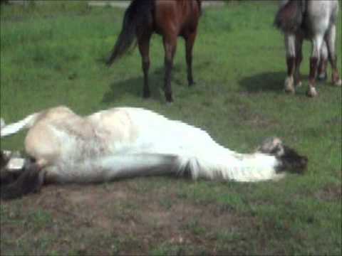 Give a little more (Diamond dust)