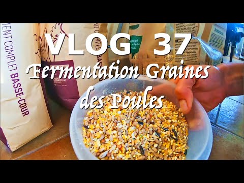 , title : 'Fermentation Graines des Poules // Eviter Limaces au Potager -Vlog 37-'