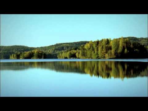 WASA HISTORY - GLOBAL