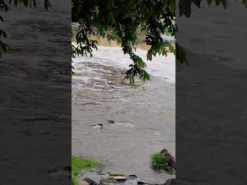 Cachoeira do Salto - Campina do Monte Alegre
