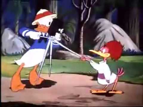 Donald Duck Cartoons Full Episodes Donald Duck Clown Of The Jungle NEW video!