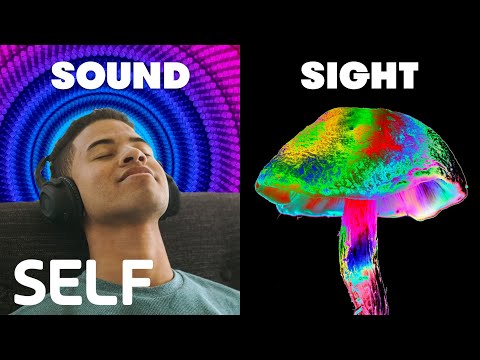 How Magic Mushrooms Affect The 5 Senses | Through The Senses | SELF