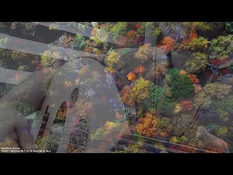 Haytham Kawar - Chopin's Nocturne No.7 in C# Minor, Op.27 No.1 (Re-arranged for UD)