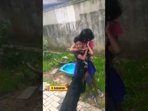 ඔයා මාව බිම දැම්ම එහෙම නම්. #shorts #Sakabimi #rottweiler #funnydogs