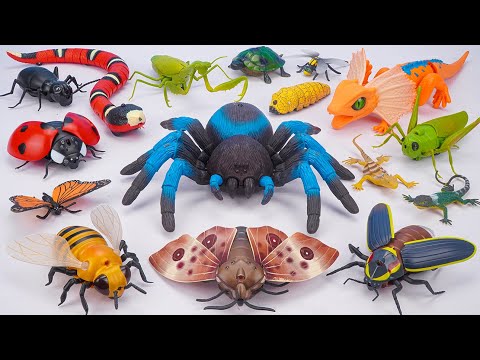 🦎toy asmr🦎 ZURU Robo Alive Spider, RC Snake & Lizard Toy ASMR 🌟 Unboxing Toys