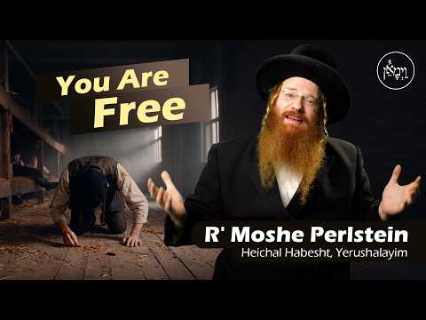 You are Free | Rabbi Moshe Perlstein