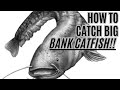 HOW TO Catch BIG Bank Catfish THE Boatless Catfishing Guide