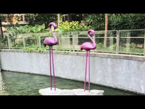 View to Appreciate. Hotline: 96580975