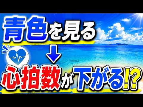 青色を見ると心拍数が下がる？色彩心理学｜心拍数が低下する科学的メカニズム