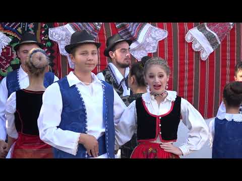 ANDREEA CHERELUSAN - COLAJ TARA ZARANDULUI