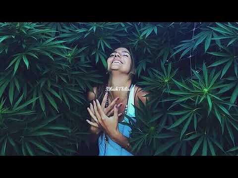 Misha Xramovi - Кайфую ♛