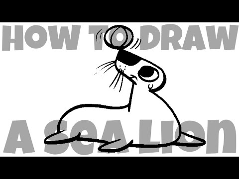 How to Draw a Sea Lion