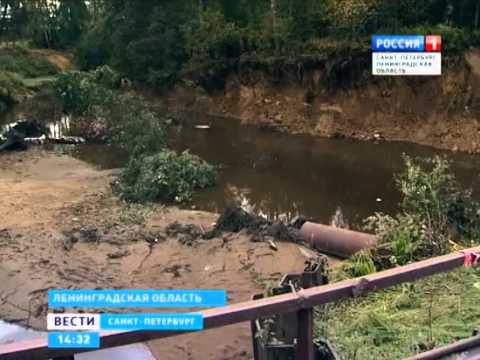 Управление Росрыболовства инициировало проверку по факту исчезновения воды из реки Грузинки