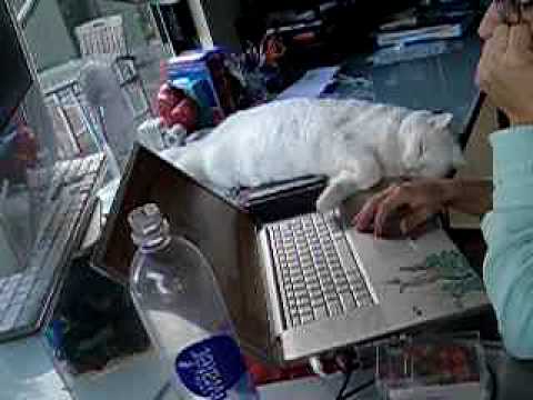 She's in love with Anahita's Music!