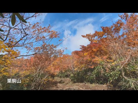 自然の都、栗原