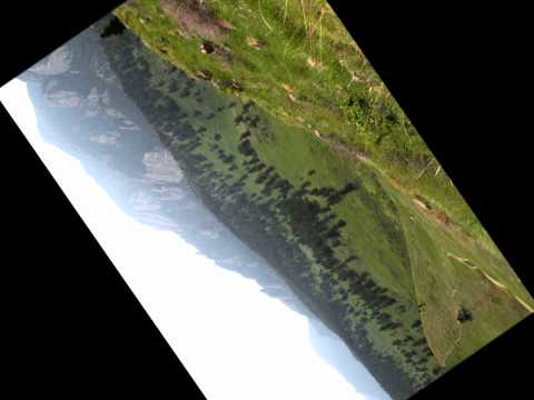 Neeg Siab Coob by Xanaki