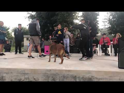 LCF | Octavos | Crudo x Pola vs Christian x Seba vs Soca x Dagger | fecha 4