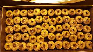 how to germinate cannabis seeds - peat pellets - the med-man method™