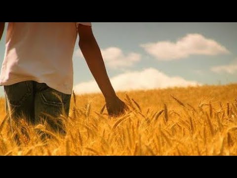 [ Hino Novo ] Trabalhadores da Última Hora