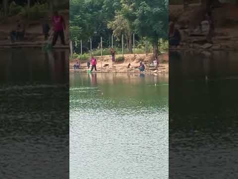 pesqueiro do Márcio na diária em Elias Fausto #shorts #shortvideo #pesca