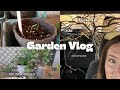 ROSE CARE LANDSCAPE SHRUBS OUR ITALIAN HONEY BEES COMPOST BINS