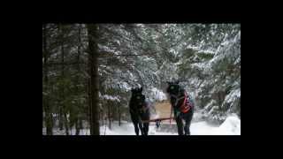 Sleigh Ride * Instrumental * Leroy Anderson