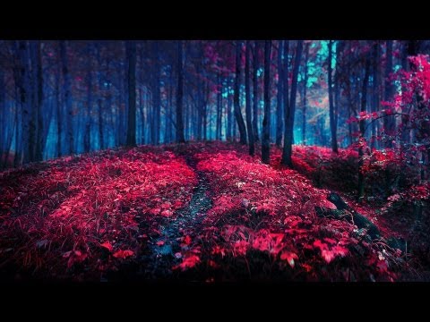 Chillstep Selection #24