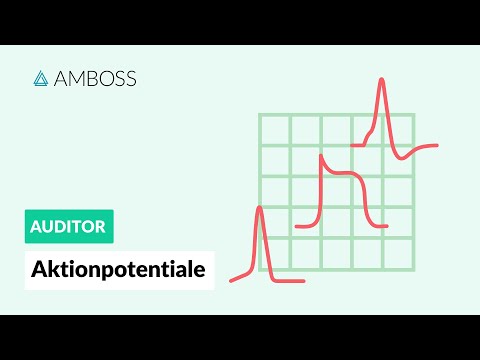 Aktionspotentiale - AMBOSS Auditor