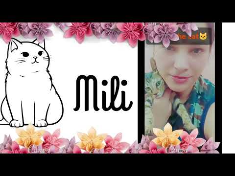 cute cat Mili#cute#beautiful ❤