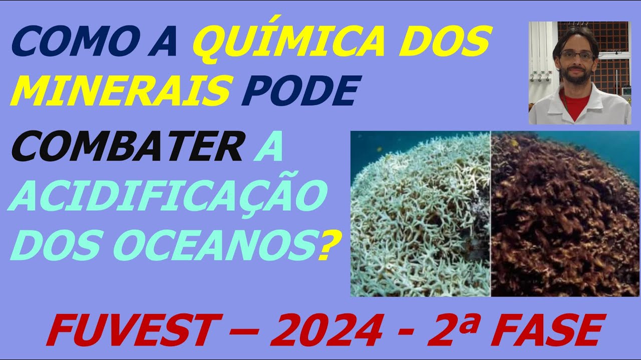 Questão FUVEST - Como a química dos minerais pode combater a acidificação dos oceanos | Le Chatelier
