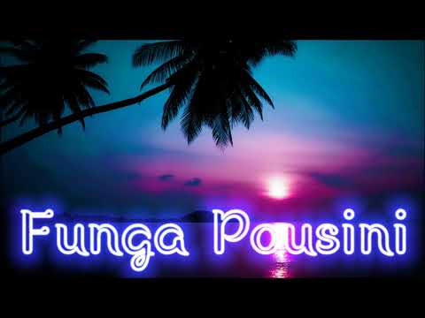 Funga Pousini 🇹🇴Iongi Brothers🇹🇴