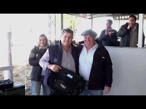 Cabaña Don Amado, criadores de animales Braford, de Palacios (Santa Fe)