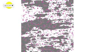 Tropics - Home & Consonance