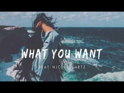 Tim Gartz&Cammora feat  Nicole Gartz - What You Want (Sophill Remix)