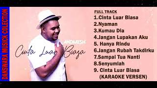 Download lagu Andmesh Kamaleng FULL Album Cinta Luar Biasa mp3