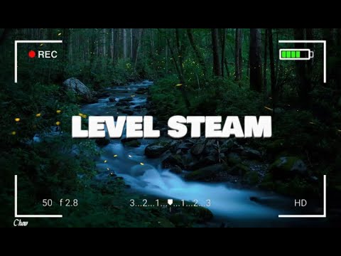 LEVEL STEAM - SELECTAH CHOW|| Ft.. YUNG BREDDA, SACKIE & BOIDINGO (2023 Zess Mix)