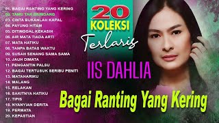 Download lagu 11 Lagu terbaik IIS DAHLIA mp3